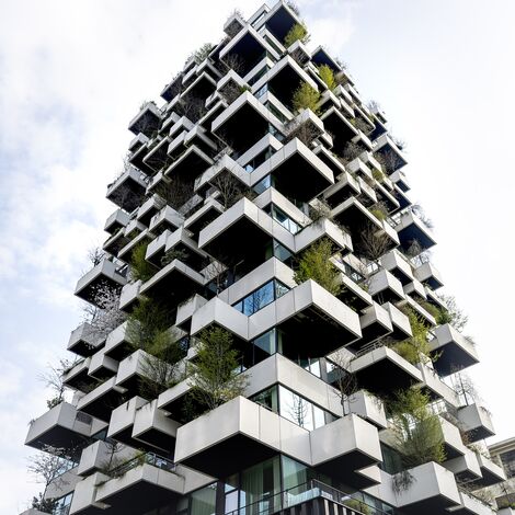 Schrägansicht eines vertikalen Waldbauprojekts.